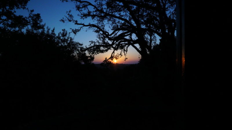 DSC00817-1-1024×576