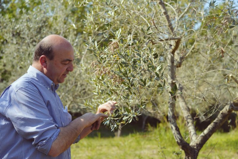 Copia-di-NiklasAdrianVindelev_VillaLena_Pietro_9