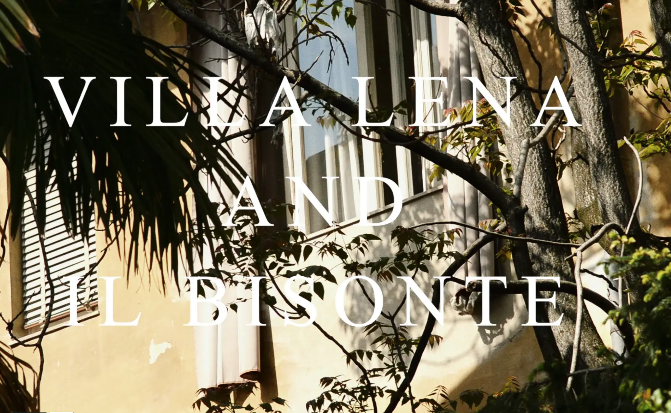 Screen Shot 2020-06-21 at 16.02.40