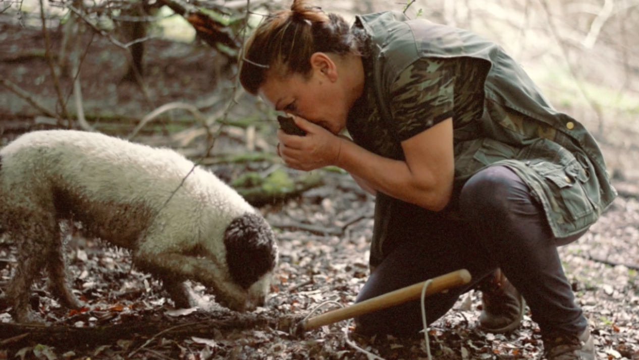 Screen Shot 2020-06-19 at 19.34.43