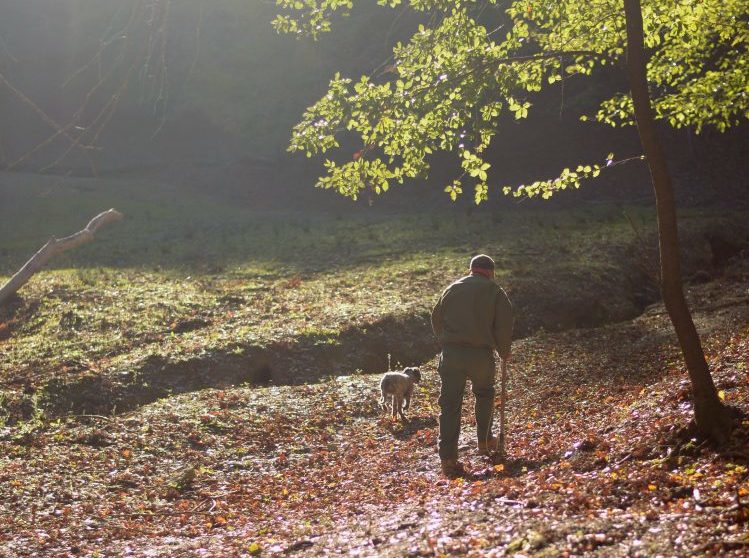 TruffleHunting_forPhilippejpg-749×1024