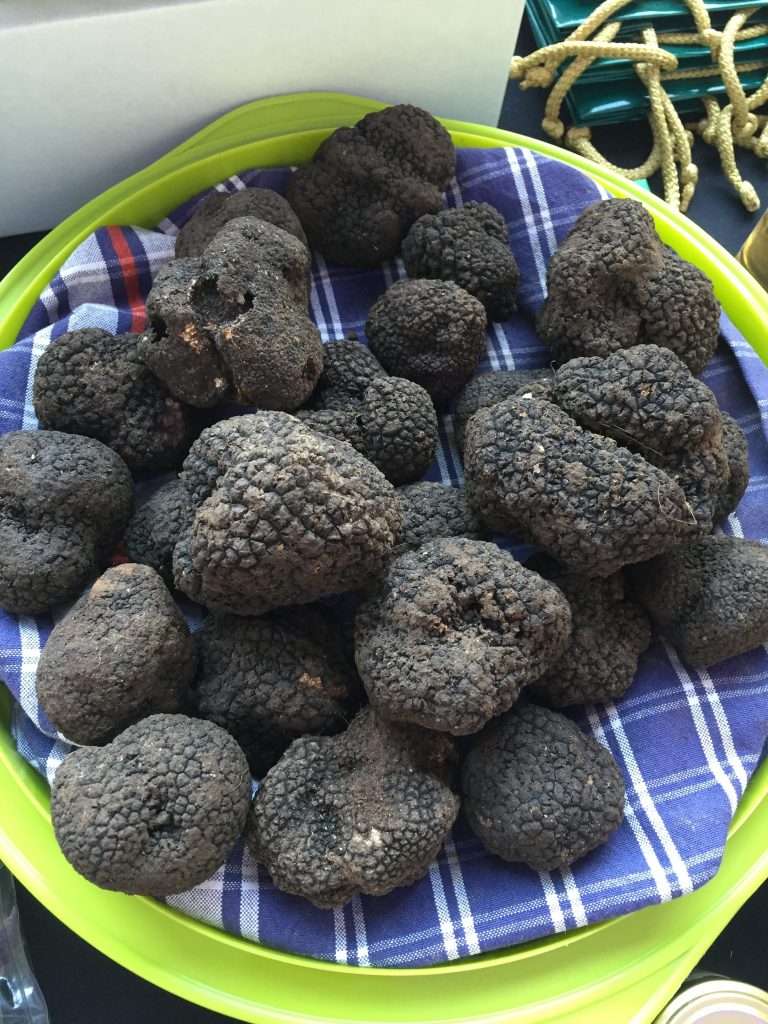 villa-lena, tuscany, italy, fresh, garden, vegetable-garden, kitchen-garden, organic, vegetable, vegetables, cooking, workshop, workshops, truffle, truffle-hunt, truffle-experience, truffles, truffle-dog