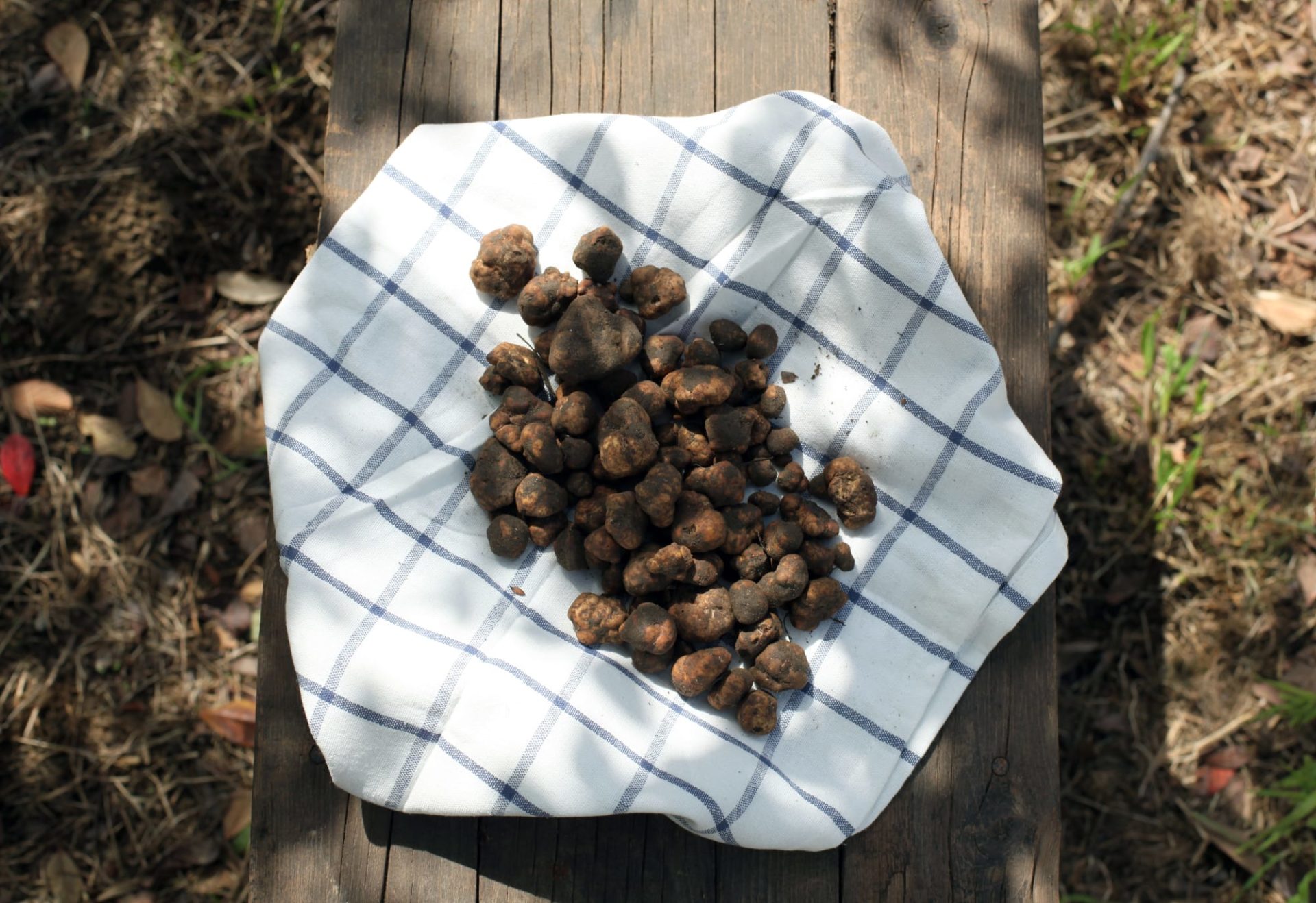 2018_ LottieHampson_Truffles_07