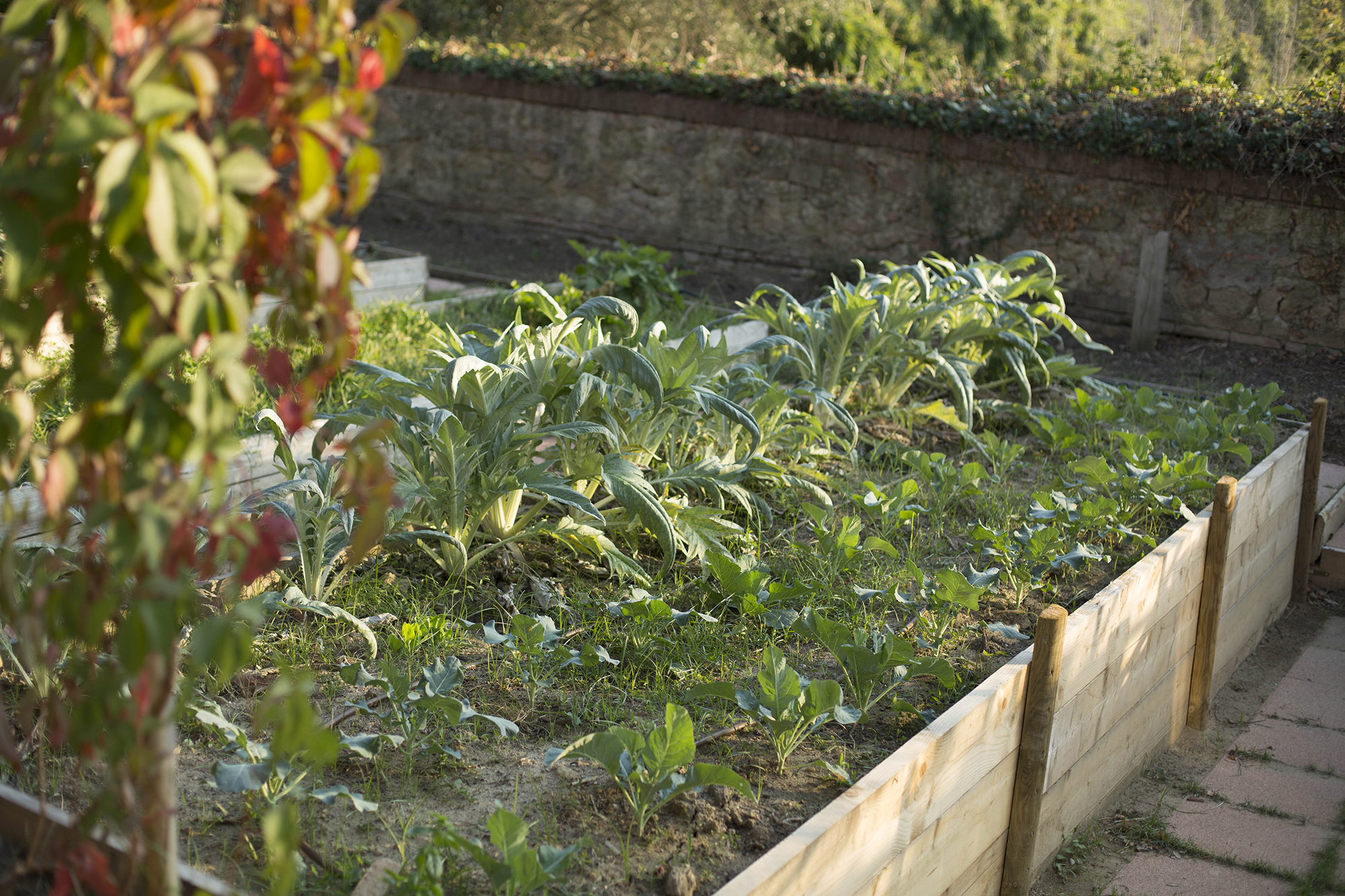 AnnabelSougne_02_Ortos