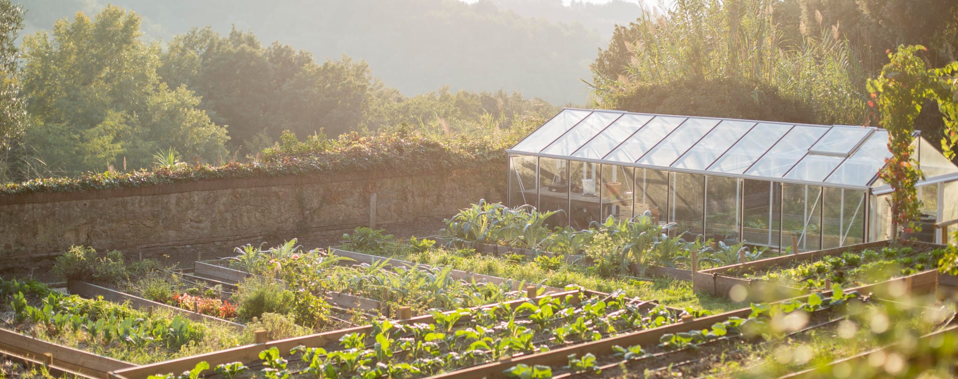 Banner SUSTAINABILITY _ AGRICULTURE Annabel Sougne
