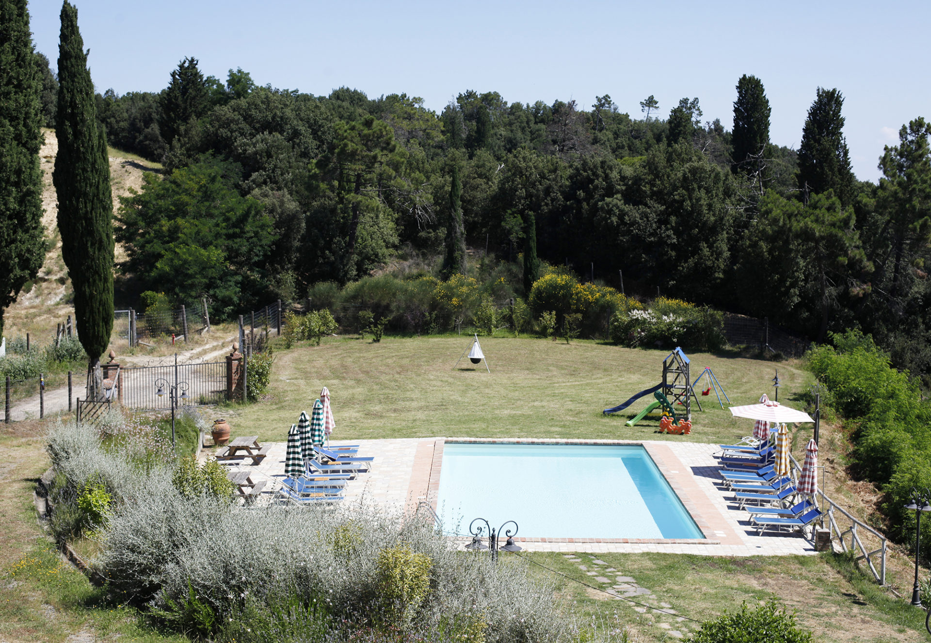 Copy of LottieHampson_Renacchi_06