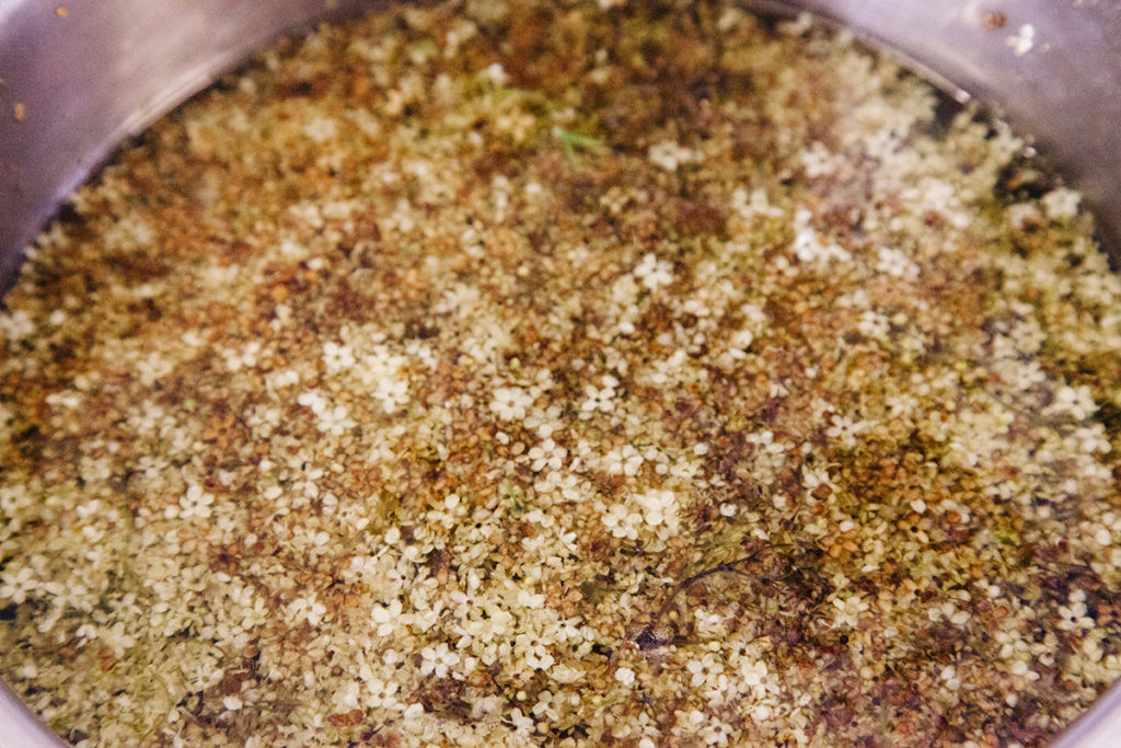 ELDERFLOWER_syrup