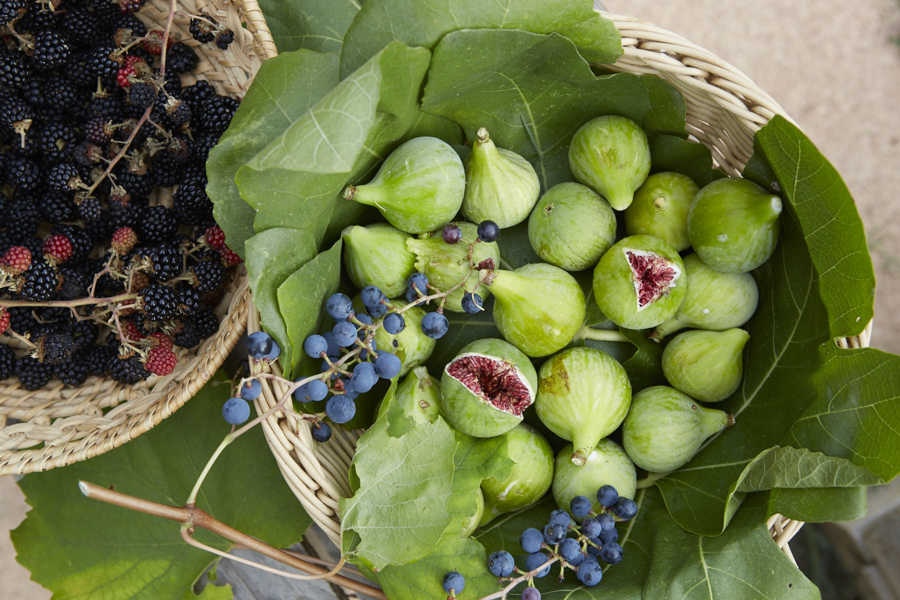 Ethos_Ortos_Food_TheoCookFood_TheoCookTC1508_VillaLena_2134_LoRes