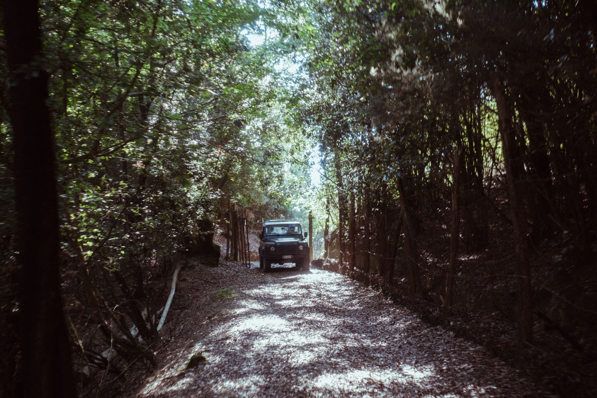 MattSundin_TruffleHunting_DSC03106