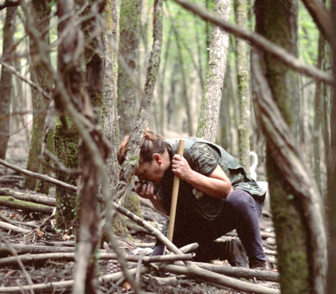 villa lena, searching, hunt, truffle, trees, woods, tuscany