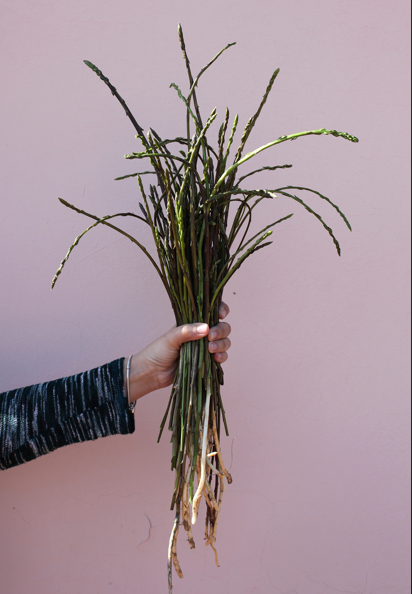 Ortos_Food_LottieHampson_WildAsparagus_04