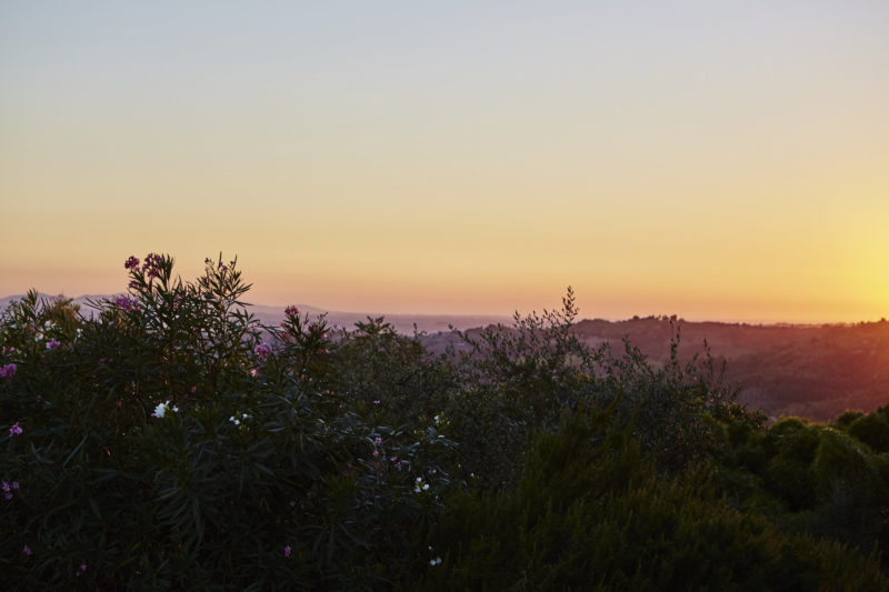 Food_TheoCookTC1508_VillaLena_2382_LoRes