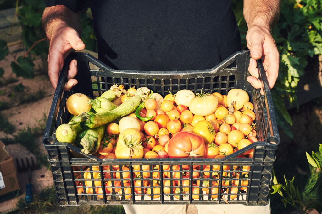 Copy of Ortos_12_LouisePalmberg