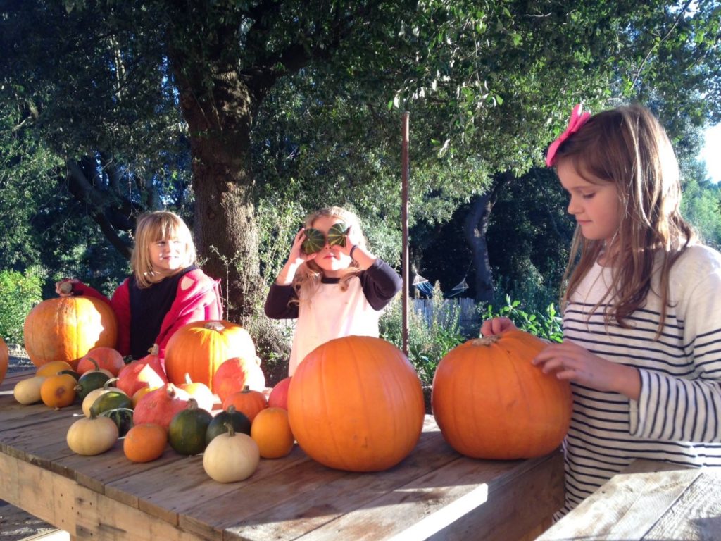 Halloween_VillaLena_Autumn01