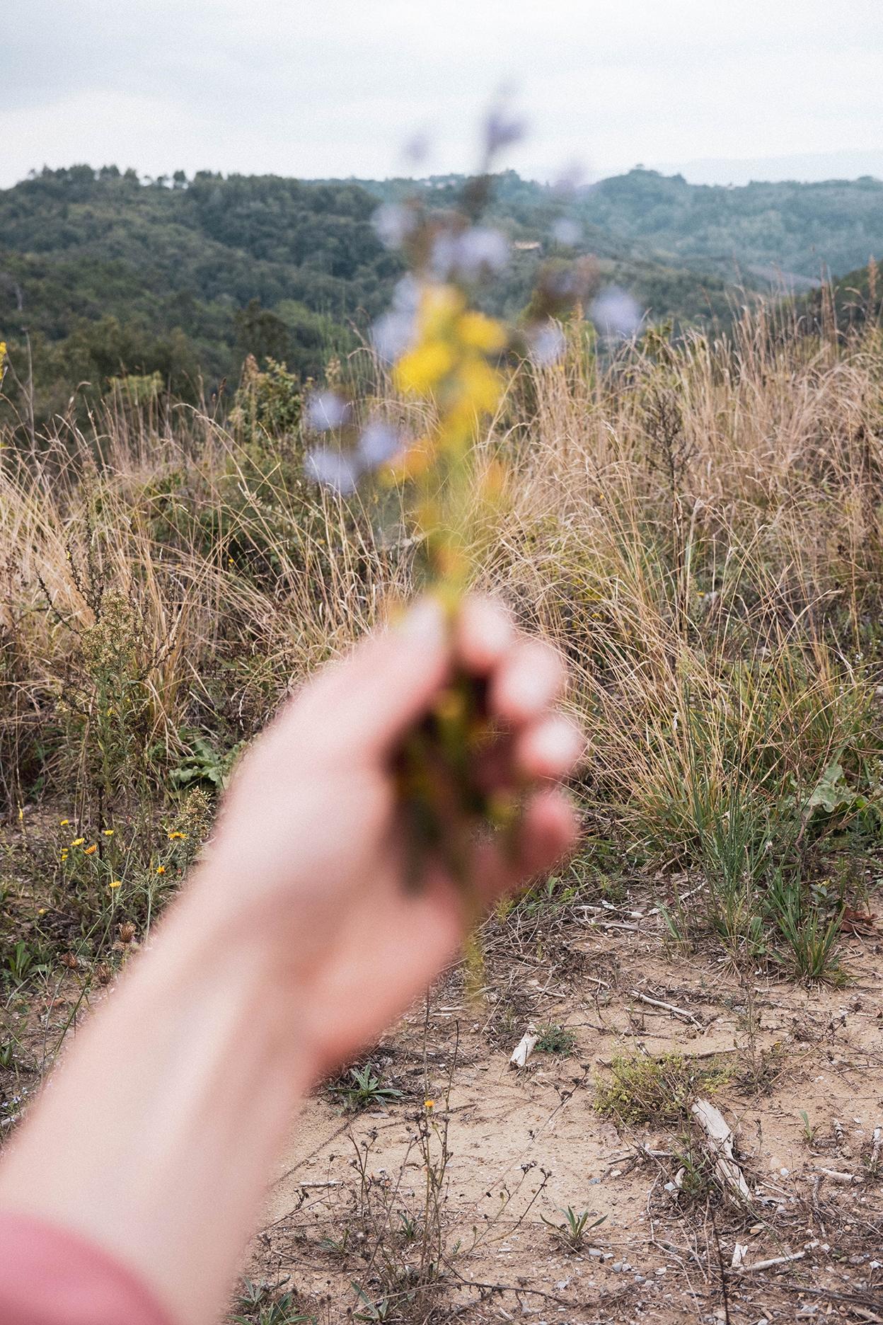 Mood_04_Evalie Wagner