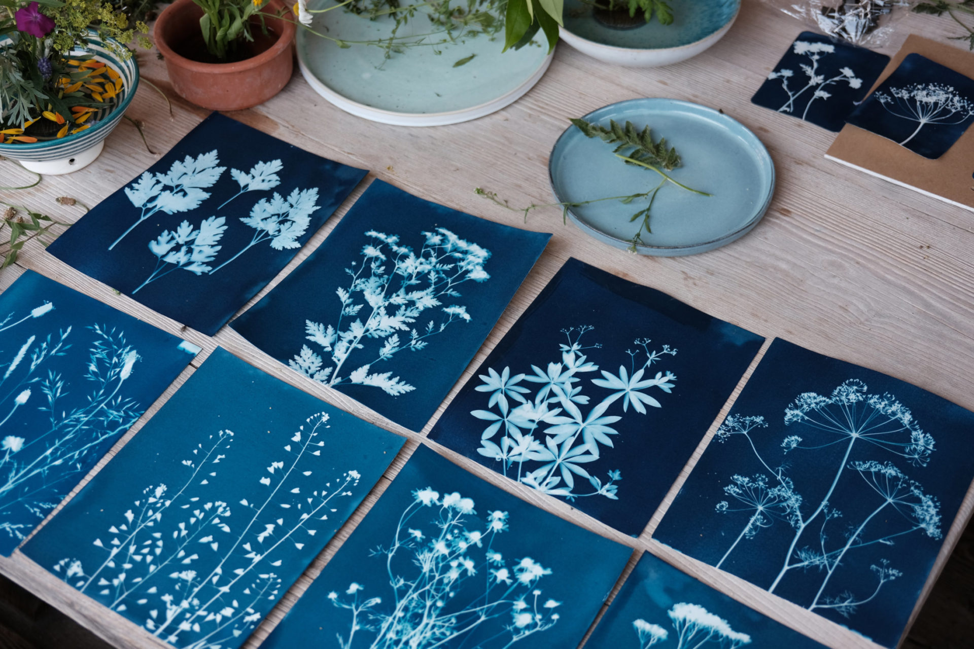 Kopie von Evalie Wagner_ Cyanotype Workshop 02