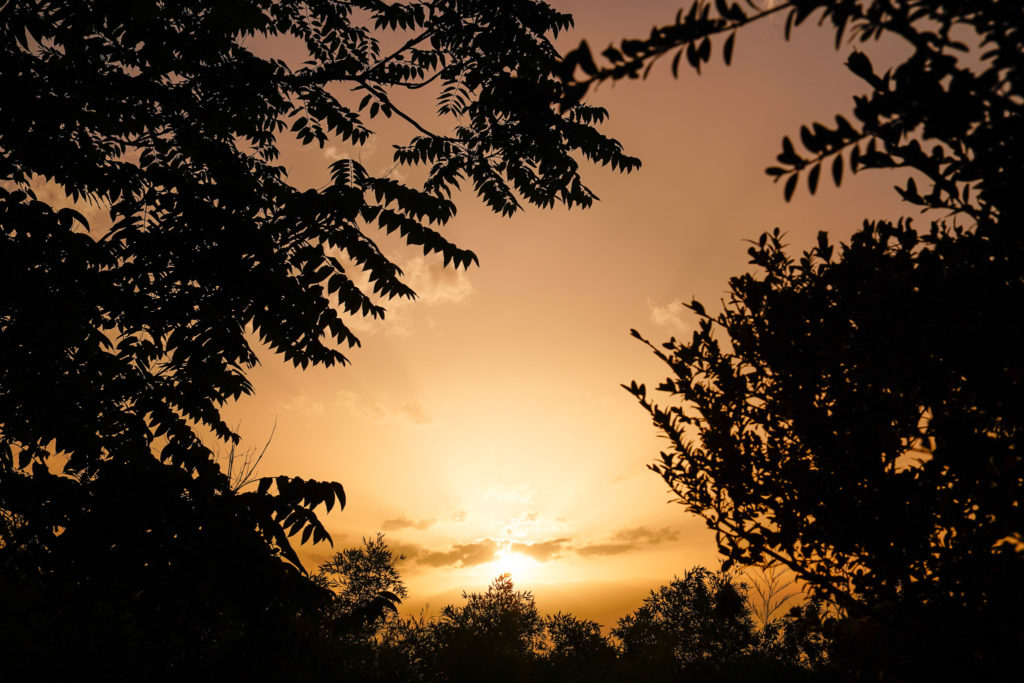 LANDSCAPE_[Raphaelle Detheve]-5