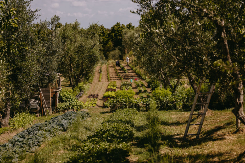 ORTO_IEVGENIIA PAVLENKO