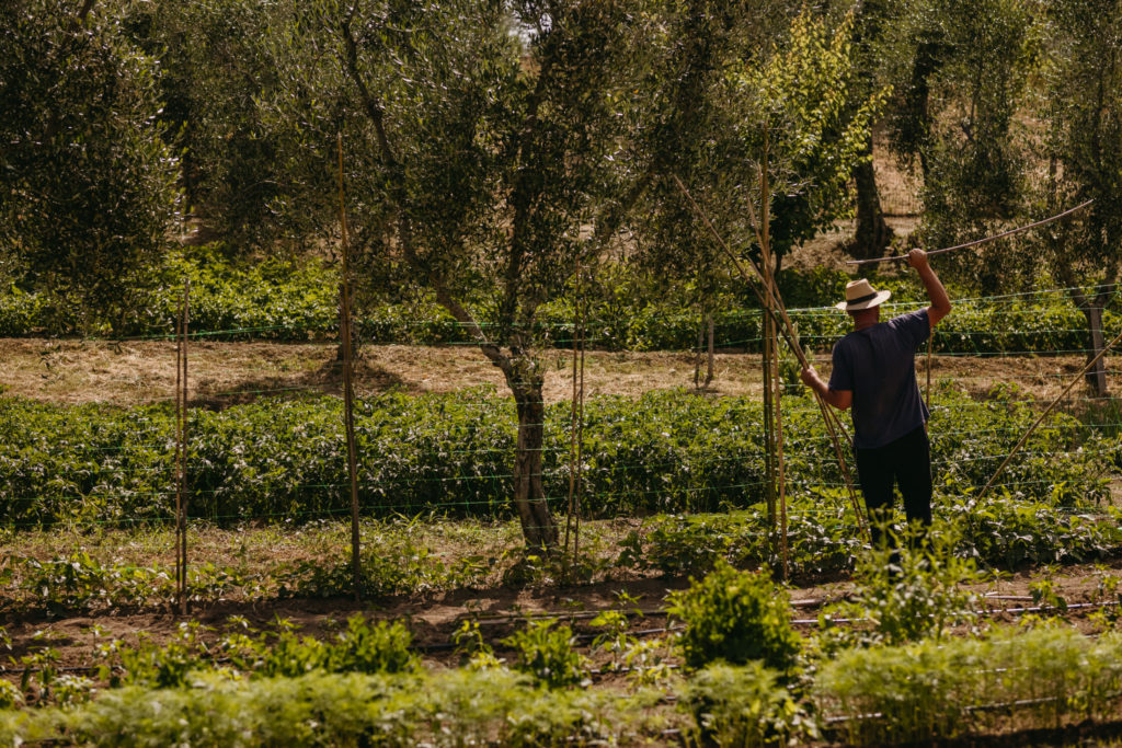 Orto_Ievgeniia Pavlenko_2022(4)