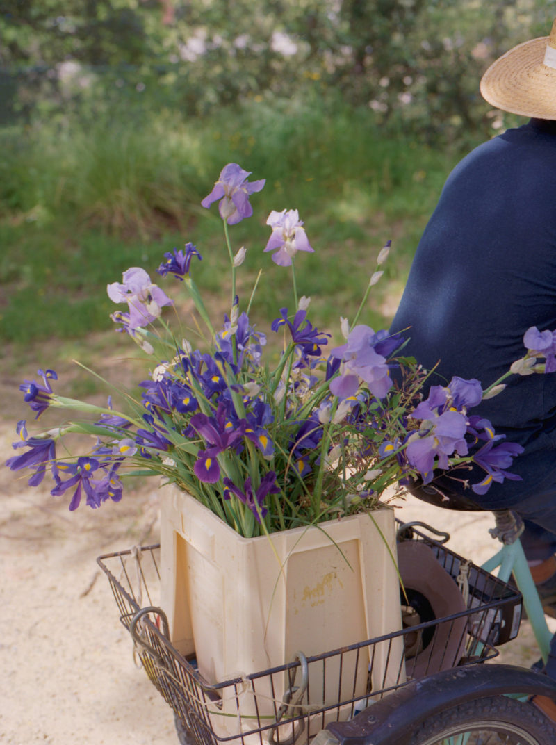 NiklasAdrianVindelev_2024_04_14_Scan_VillaLena_15