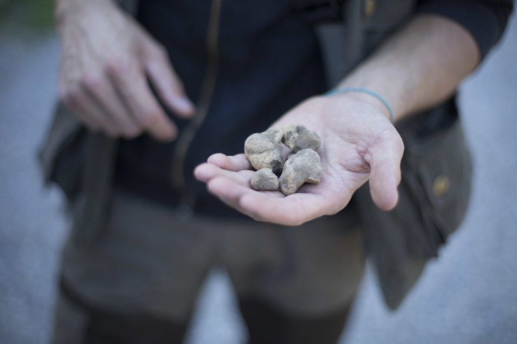 AnnabelSougne_04_TruffleHunting