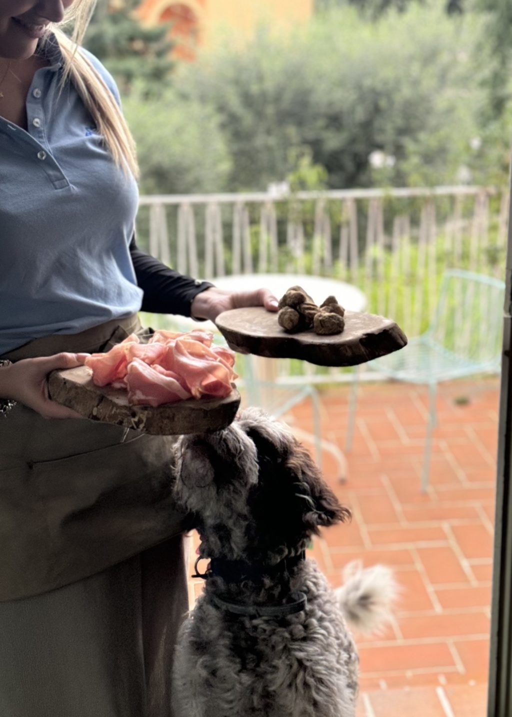 Truffle Hunt 5