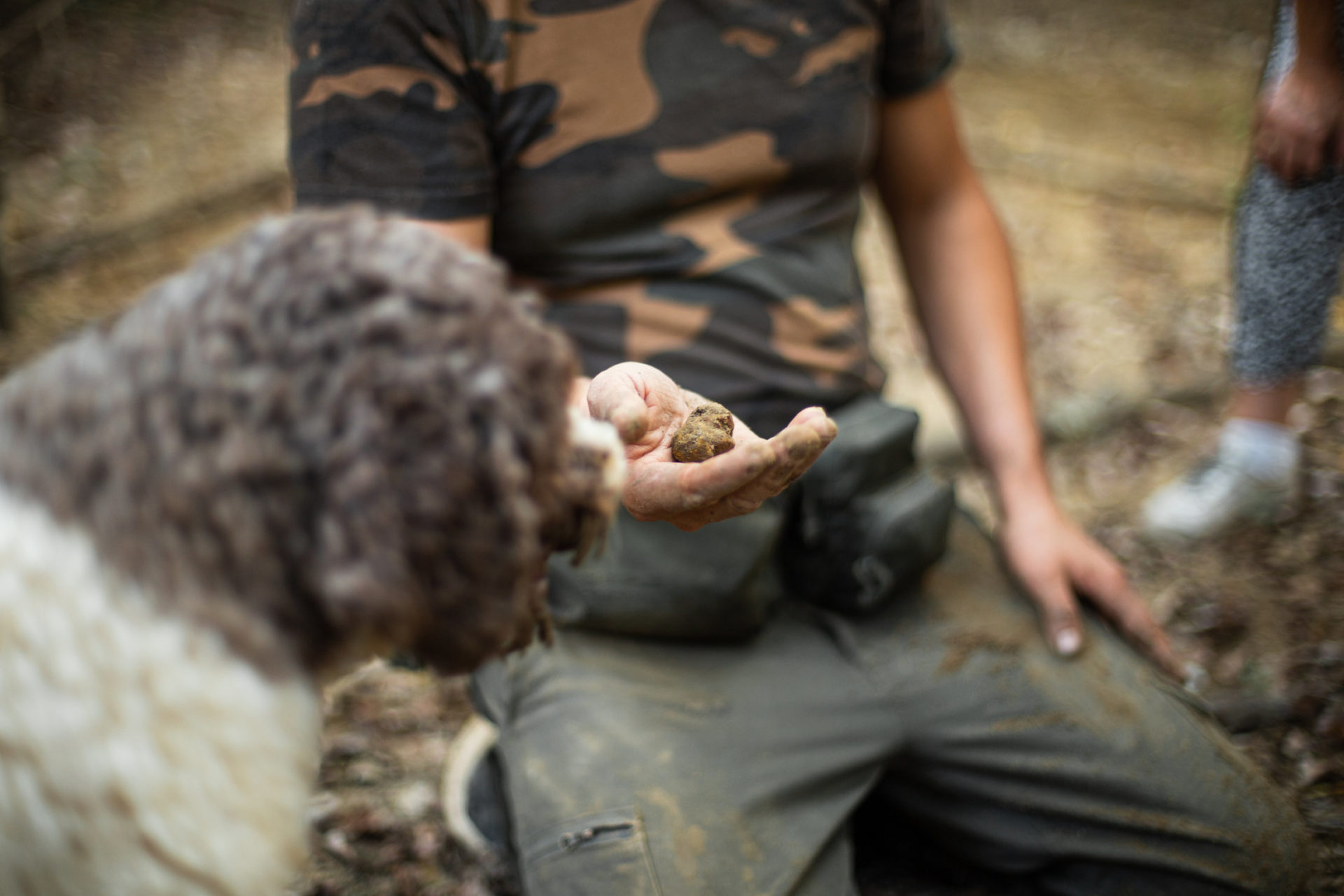 PascalWettstein_TruffleHunting_IMG_6658 (1) (1)